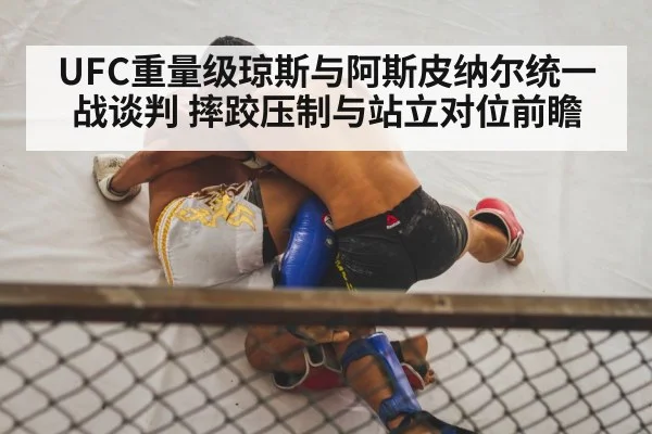 UFC重量级琼斯与阿斯皮纳尔统一战谈判 摔跤压制与站立对位前瞻 - j9 game